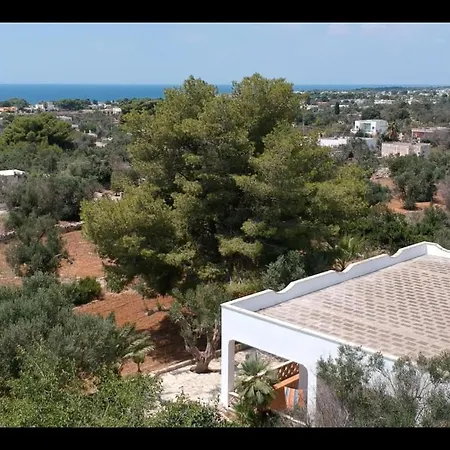 度假居 Olive Tree 托雷苏达