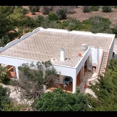 Olive Tree בית נופש