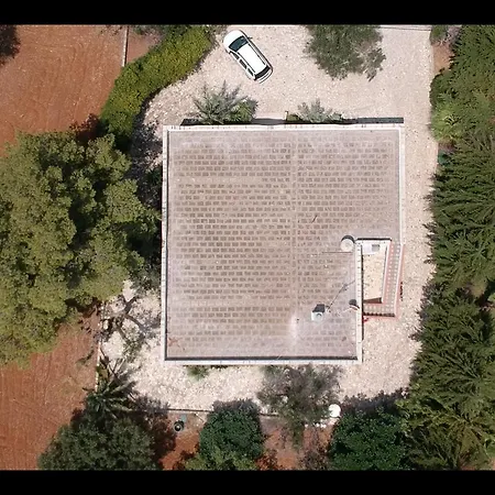 Olive Tree Torre Suda
